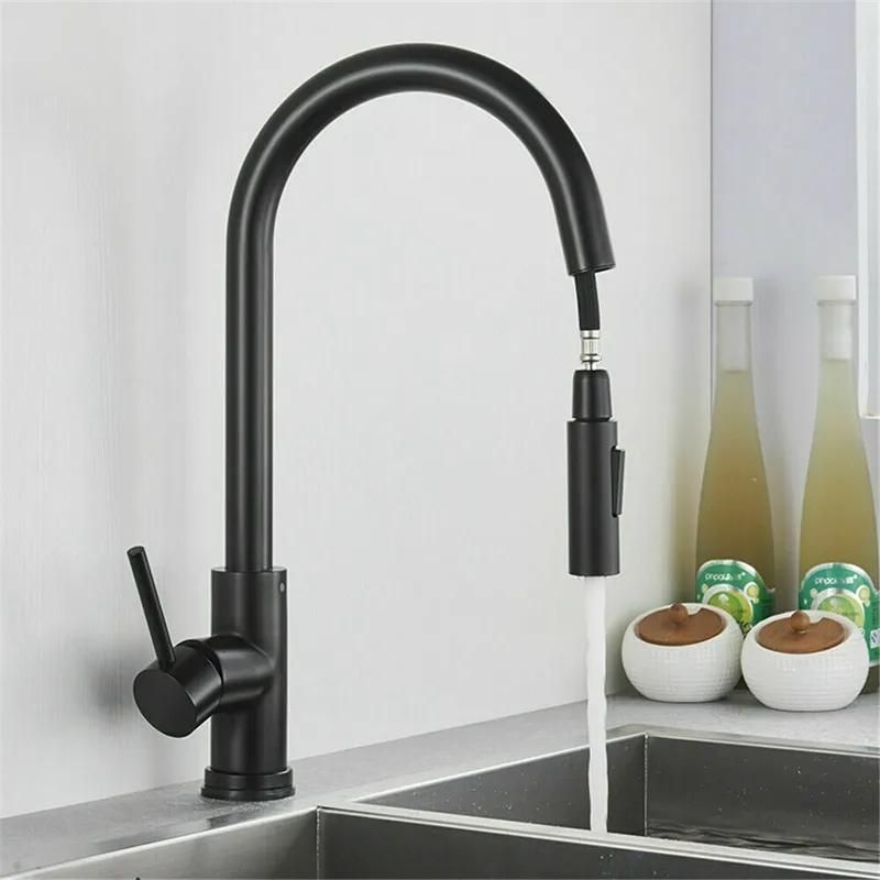 Kitchen Faucet with Pull-Out Sprayer