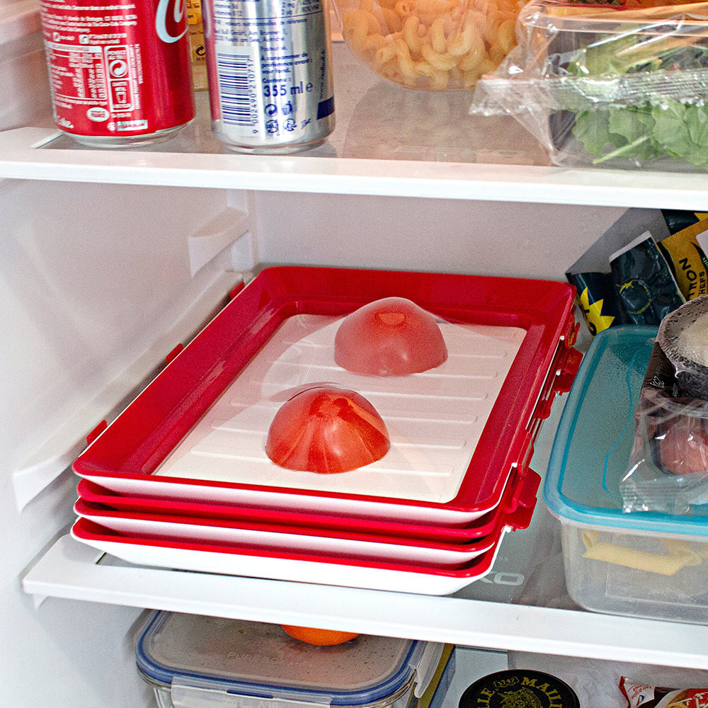 Creative Reusable Food Storage Tray