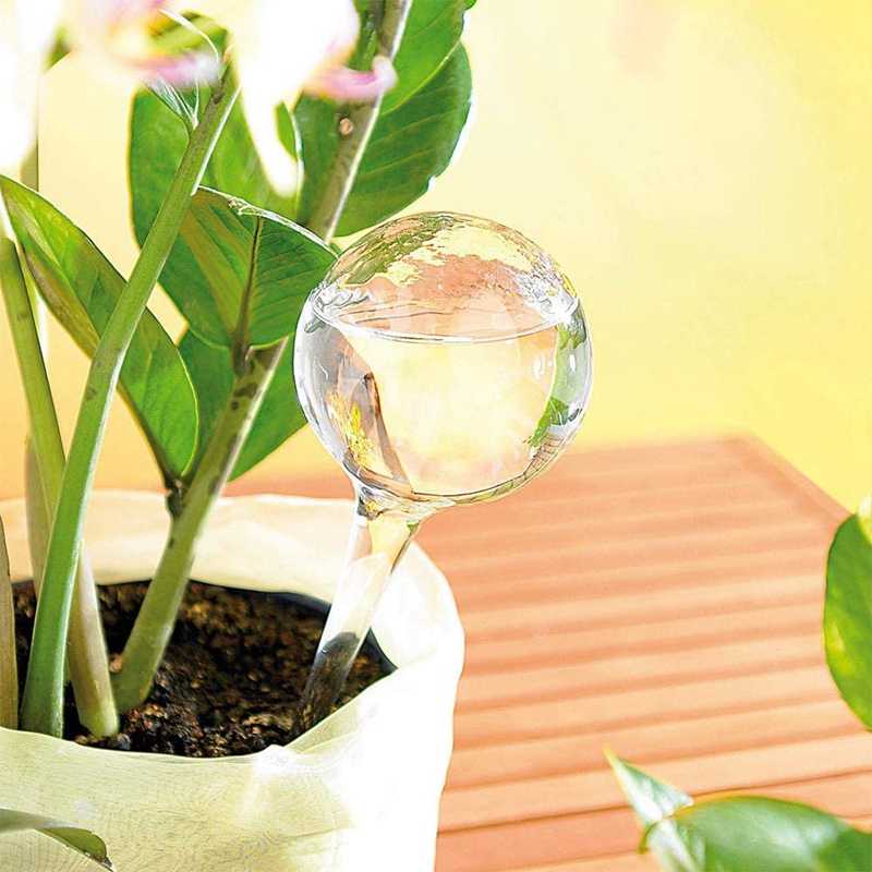 Plant Watering Bulbs