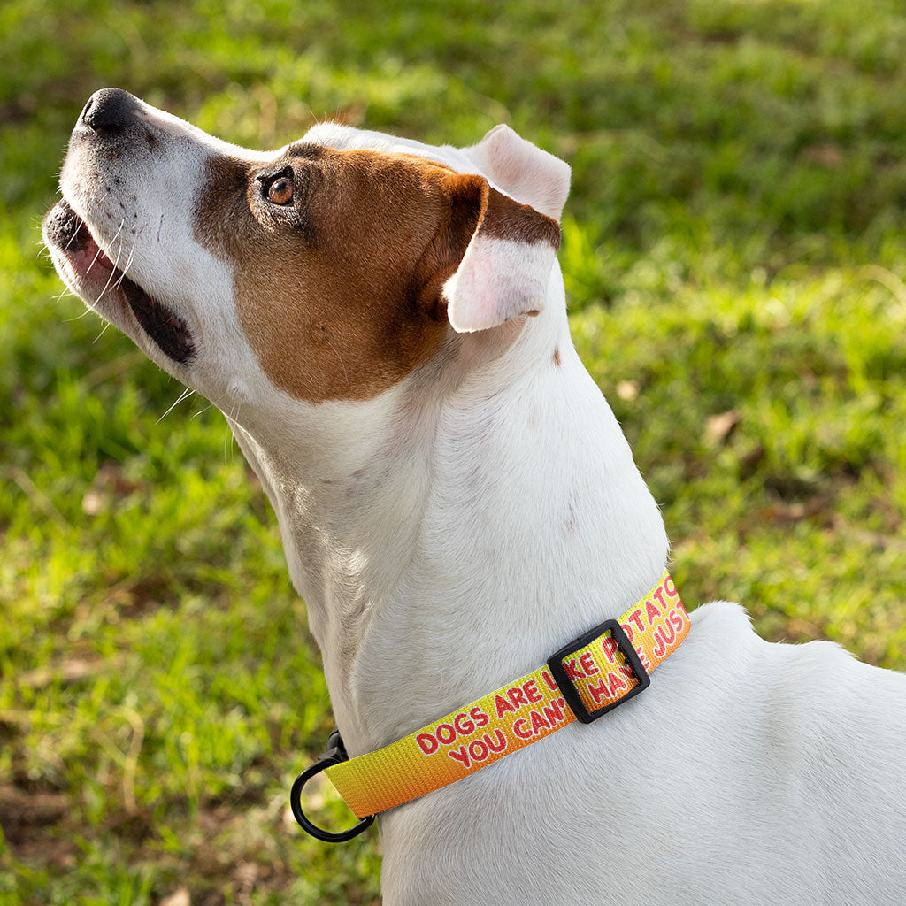 Dogs are Like Potato Chips Pet Collar - Funny Print Dog Collar - Themed Dog Collar