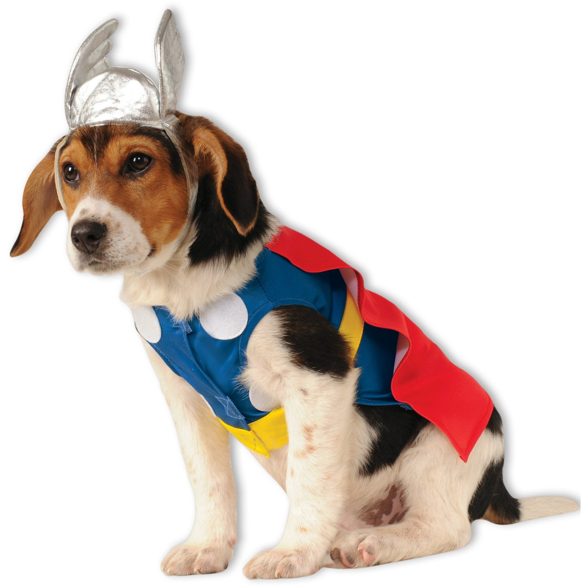 Thor Pet Costume | Turquoise Daedalus