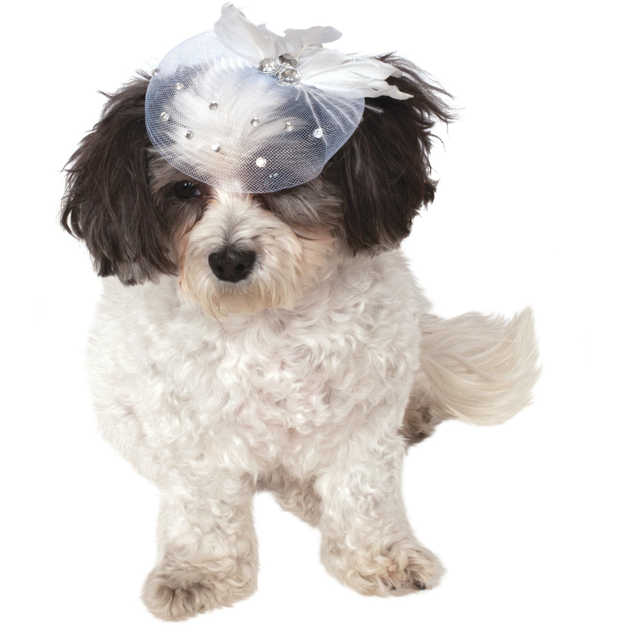 Formal Pet Hat | Turquoise Daedalus