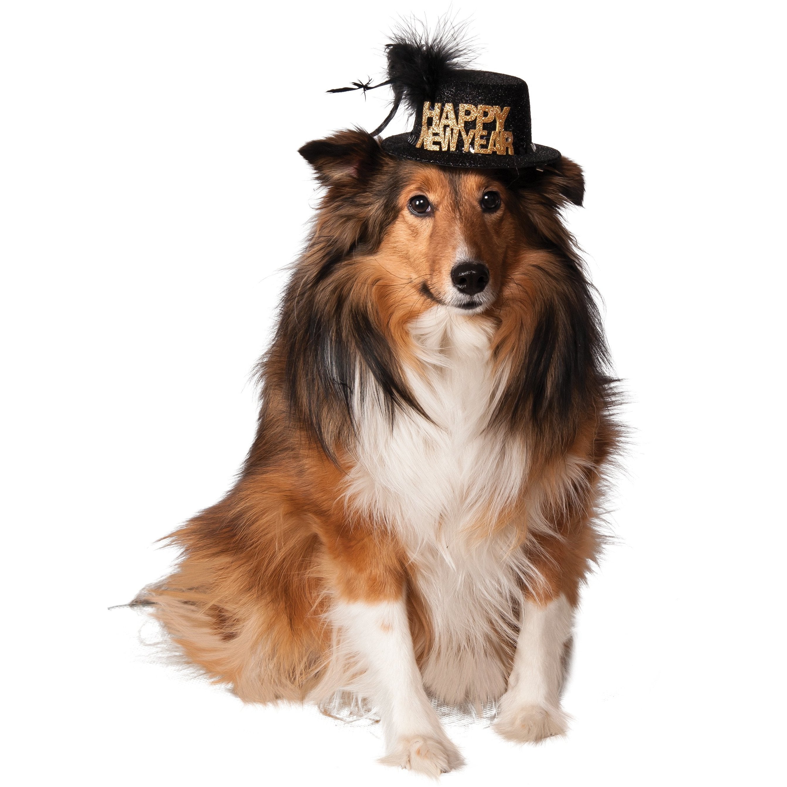 Happy New Year Pet Hat