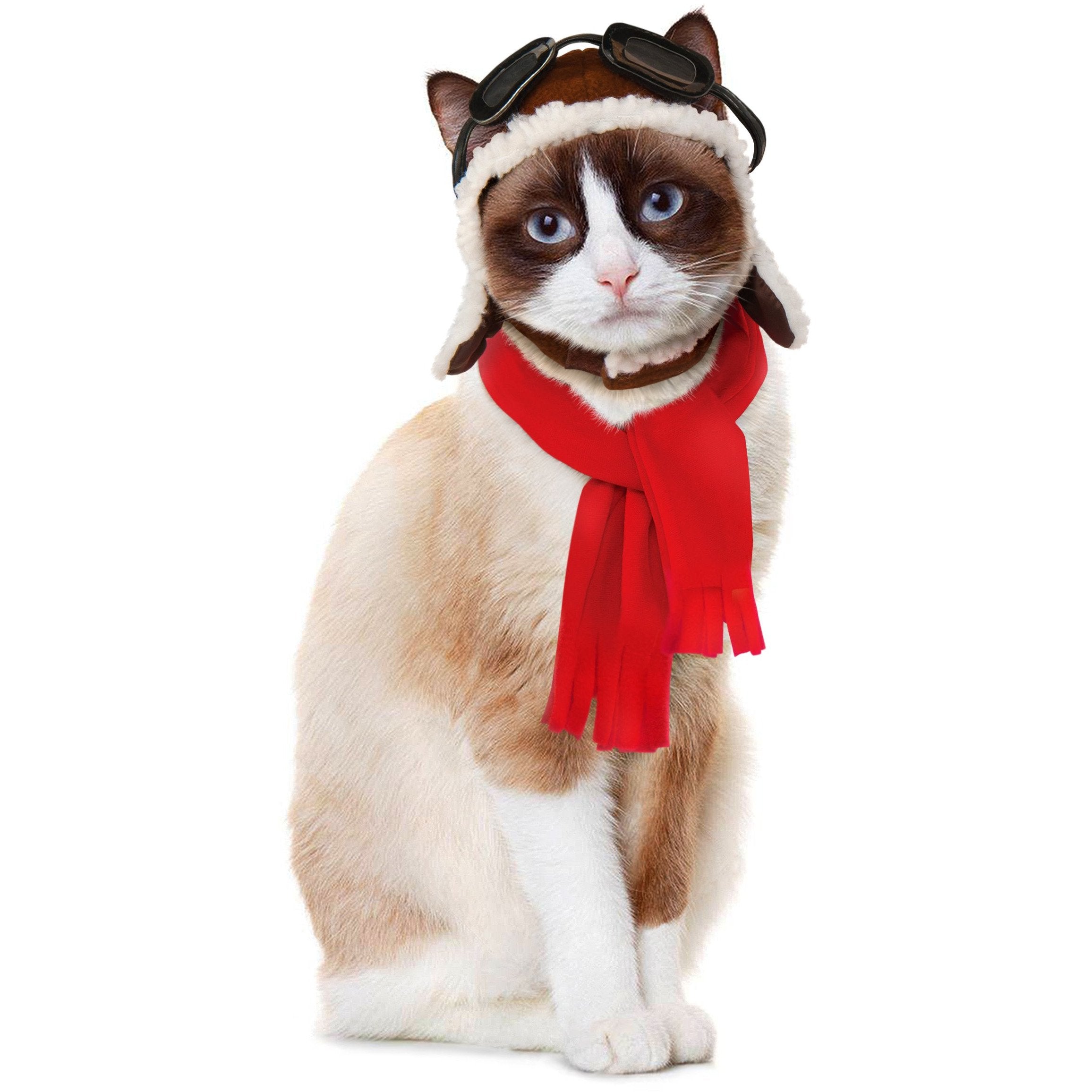 Aviator Hat And Scarf Cat Costume | Turquoise Daedalus