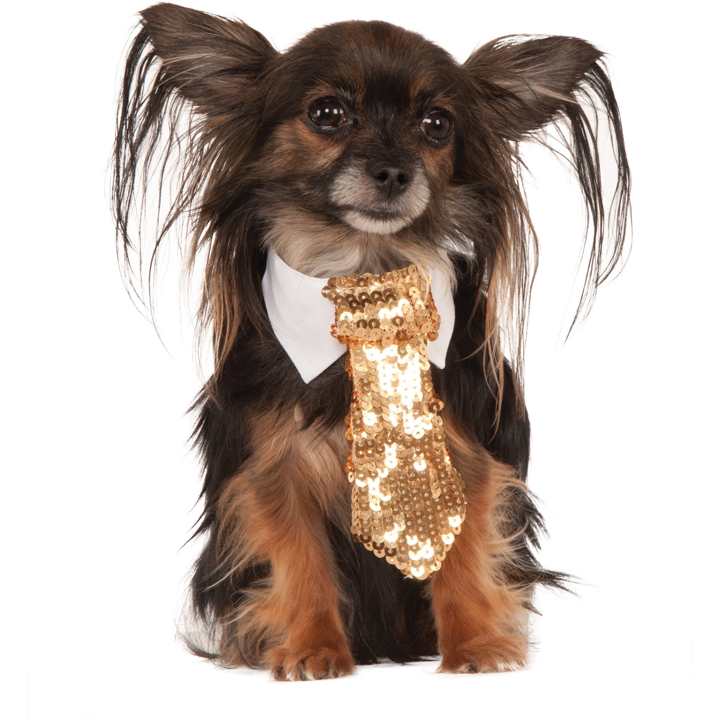 Gold Sequin Pet Tie