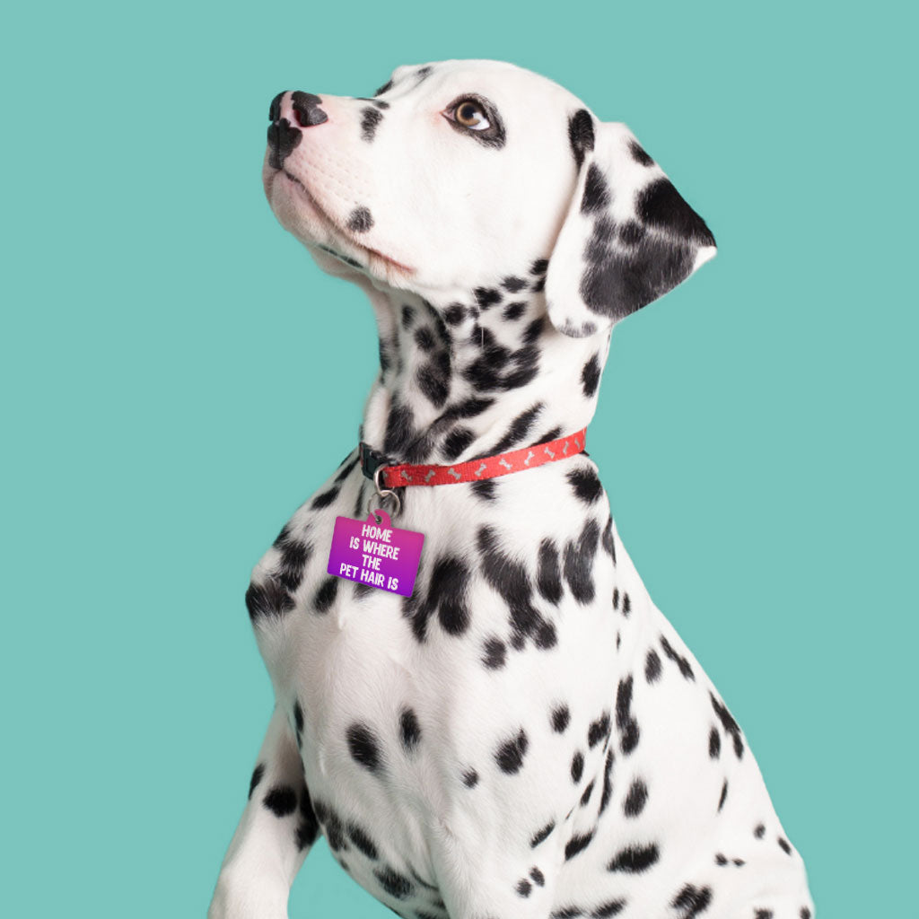 Cool Design Pet ID Tag - Cute Print Pet Tag - Cool Trendy Pet ID Tag