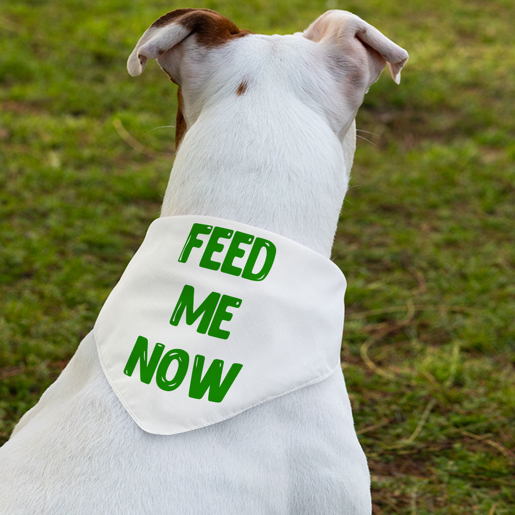 Feed Me Pet Bandana Collar - Cool Scarf Collar - Best Design Dog Bandana