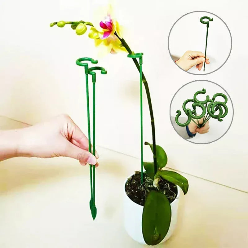 Single Stem Flower Stand