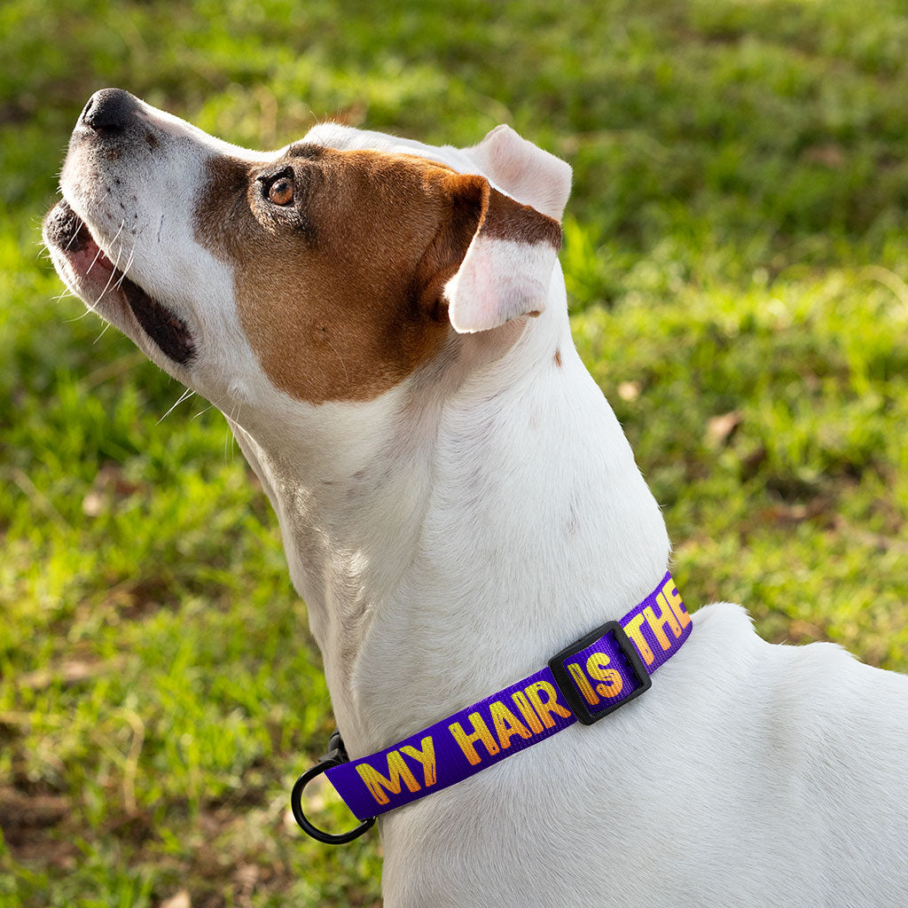 Cool Saying Pet Collar - Best Quote Dog Collar - Printed Dog Collar