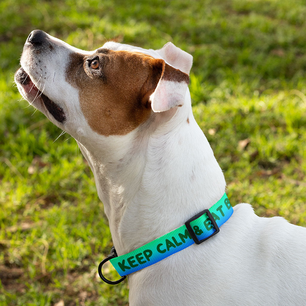 Keep Calm Pet Collar - Trendy Dog Collar - Printed Dog Collar