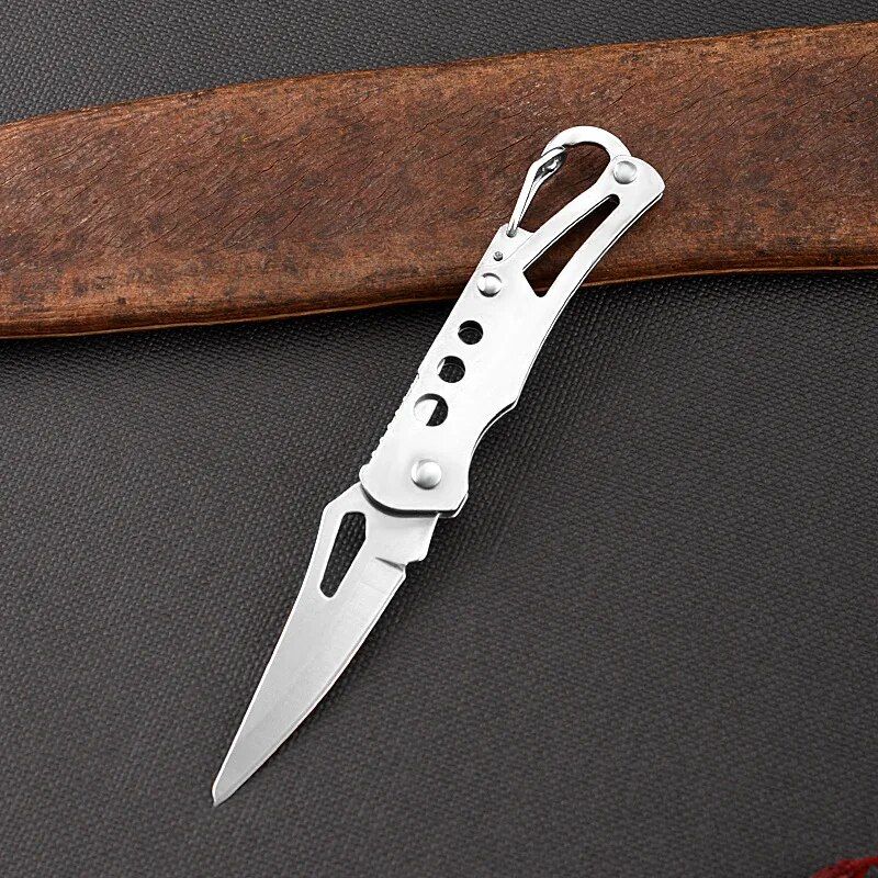 Compact Stainless Steel Folding Knife