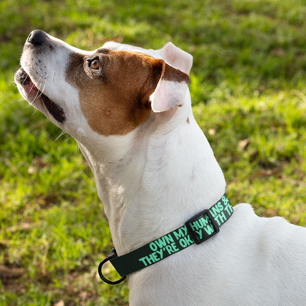 Funny Pet Collar - Printed Dog Collar - Cool Dog Collar