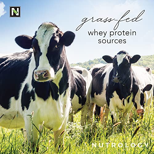 Nutrology Grass-Fed Whey Protein – Non-GMO - Cold Processed & Gluten Free – Lean Muscle, Weight Management, Recovery, Boost Performance – Nothing Artificial – Creamy Chocolate (28 Servings)