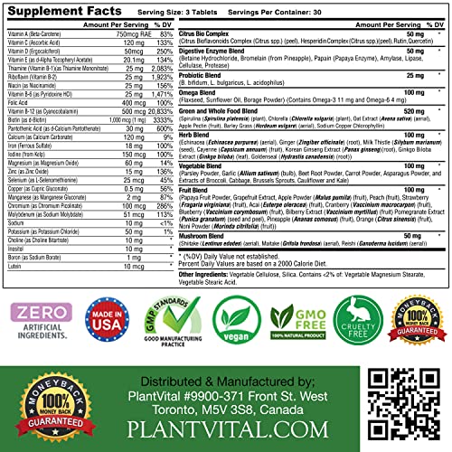 Plantvital Whole Food Multivitamin Multivitamins with 56 Superfoods Raw Veggies and Fruits Vitamins Earth Energy Fruits and Veggies Supplement Pure Fruit and Vegetable Supplements 270 Tablets