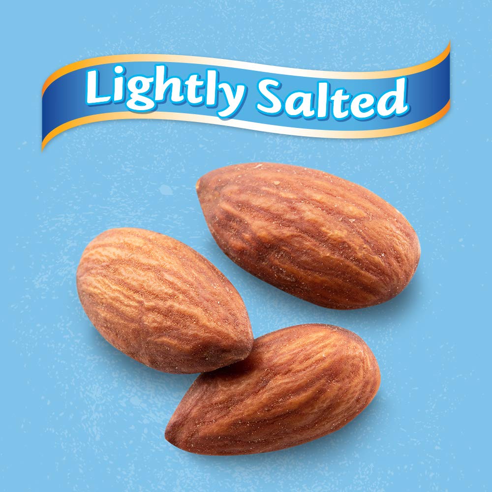 Blue Diamond Almonds Low Sodium Lightly Salted Snack Nuts, 16 Oz Resealable Bag (Pack of 1)