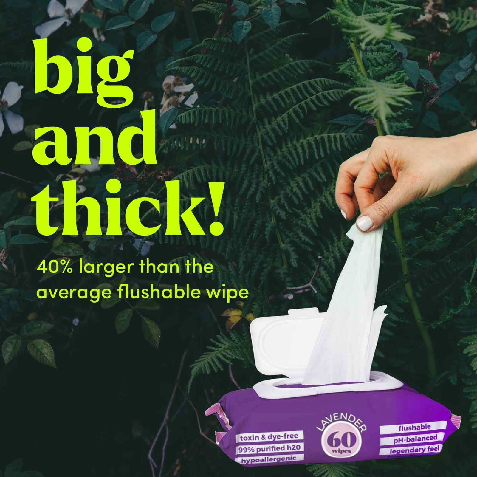 Goodwipes Flushable Butt Wipes Made w/ Soothing Botanicals & Aloe – Soft & Gentle Wet Wipe Dispenser for Home Use, Septic & Sewer Safe – Largest Adult Toilet Wipes – Lavender, 180 count (3 packs)