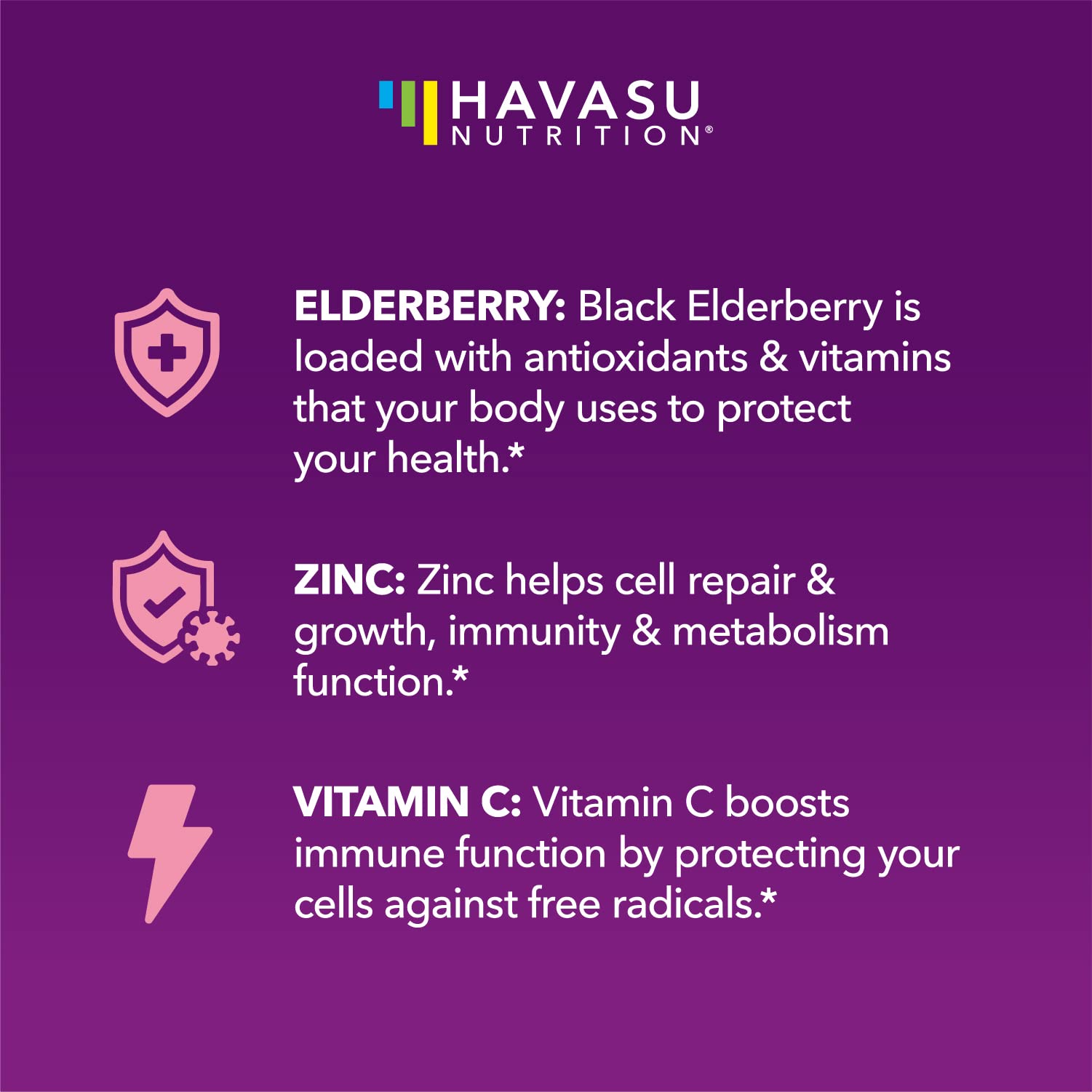 HAVASU NUTRITION Elderberry Gummies for Kids with Zinc & Vitamin C | Potent Herbal Supplement with Antioxidants to Support Immune Defense | Vegan Gummies