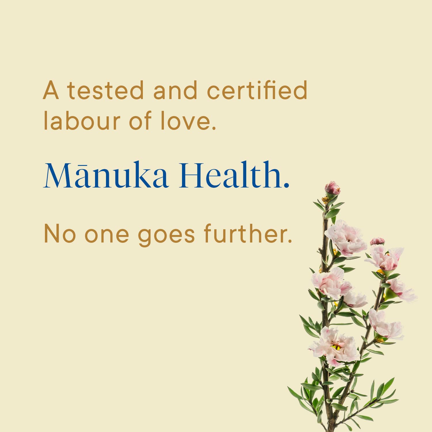 Manuka Health UMF 6+/MGO 115+ Manuka Honey (500g/17.6oz), Superfood, Authentic Raw Honey from New Zealand