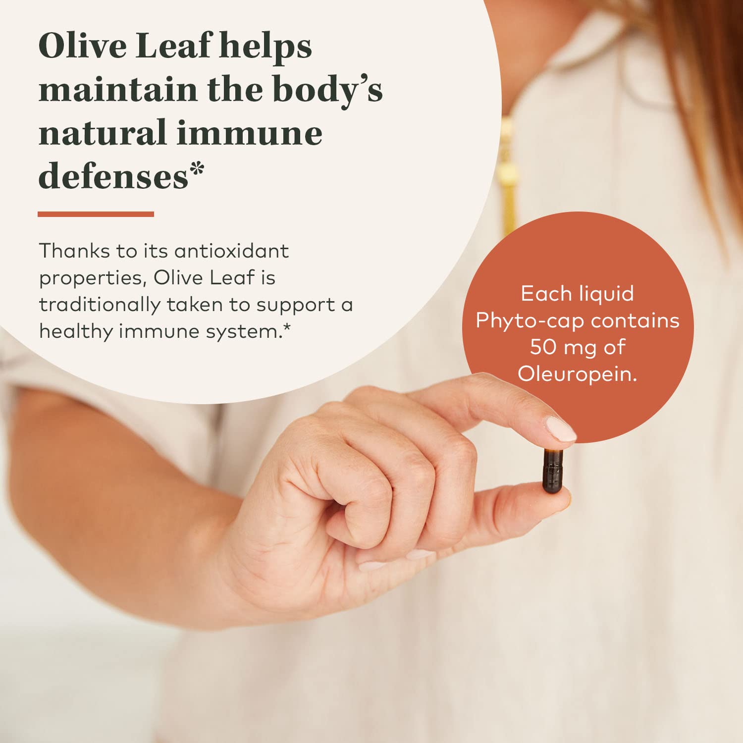 Gaia Herbs Olive Leaf - Traditional Immune Health Support - Immune System Supplement with Olive Leaf Extract and Oleuropein - 120 Vegan Liquid Phyto-Caps