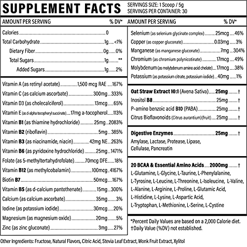 Sport Formula 99 Multivitamin Powder - Drink Mix for Men Women BCAA Amino Acids Won’t Upset Your Stomach - Keto Vegan Multivitamin Fruit Punch - Electrolytes Super B Complex Digestive Enzyme