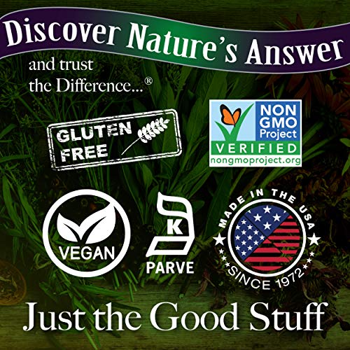 Nature's Answer Alcohol-Free Sambucus Dietary Supplement 16oz Liquid | Daily Immune and Antioxidant Support | Made in The USA | Gluten-Free & Vegan | Single Count