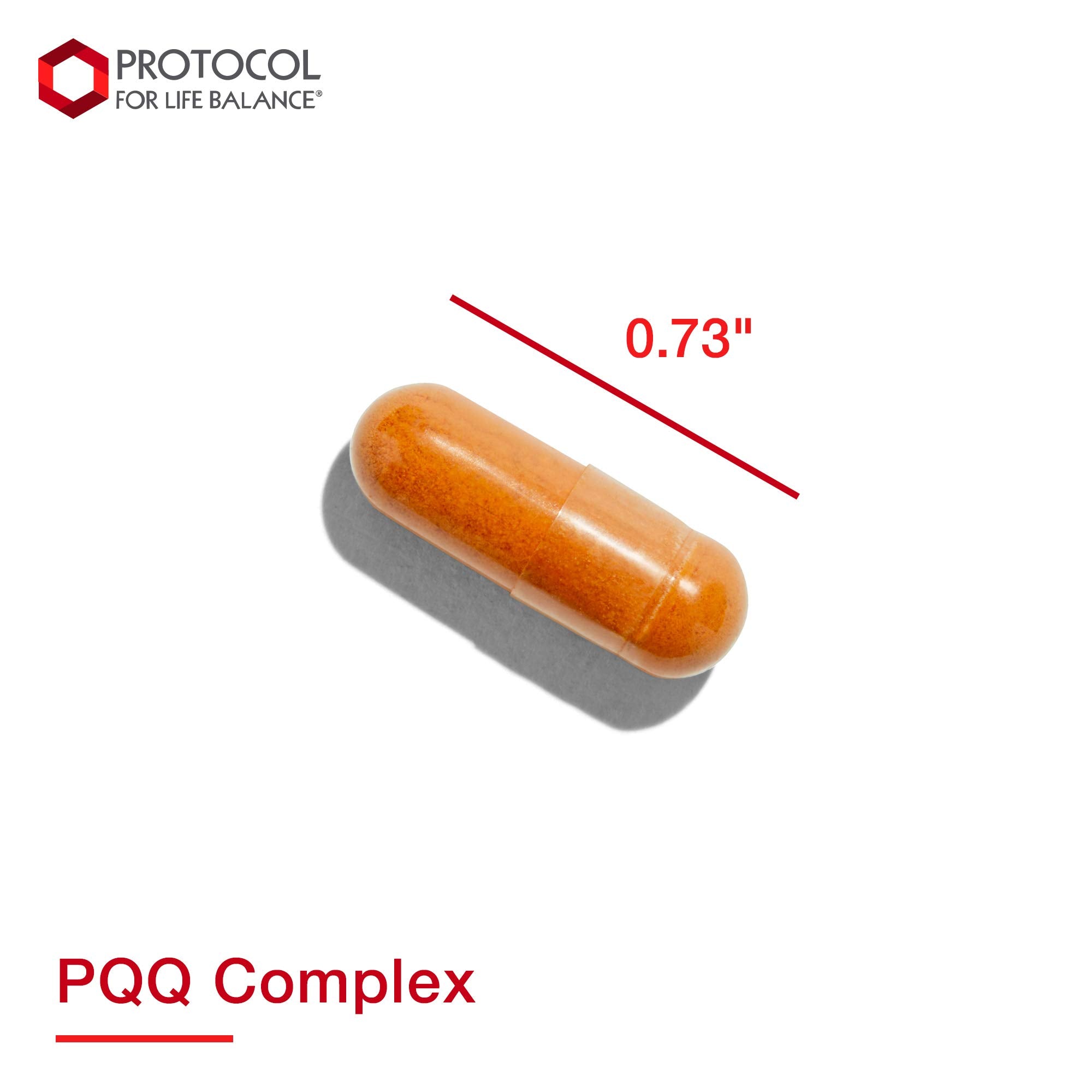 Protocol PQQ Complex - CoQ10, Acetyl-L-Carnitine, Vitamin B12 - Energy - 30 Veg Caps