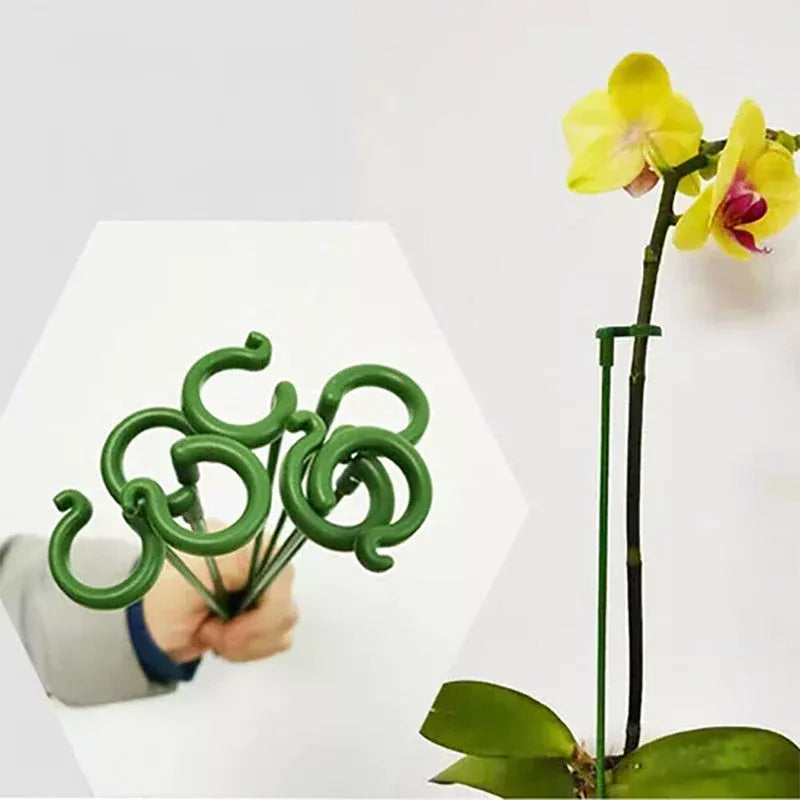 Single Stem Flower Stand