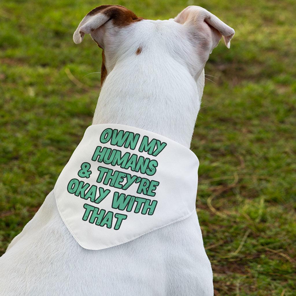 Funny Pet Bandana Collar - Printed Scarf Collar - Cool Dog Bandana