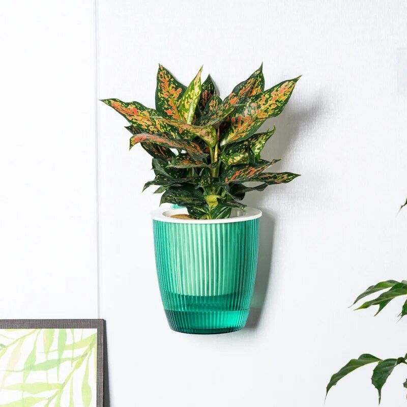 Creative Wall Hanging Planter Self Watering