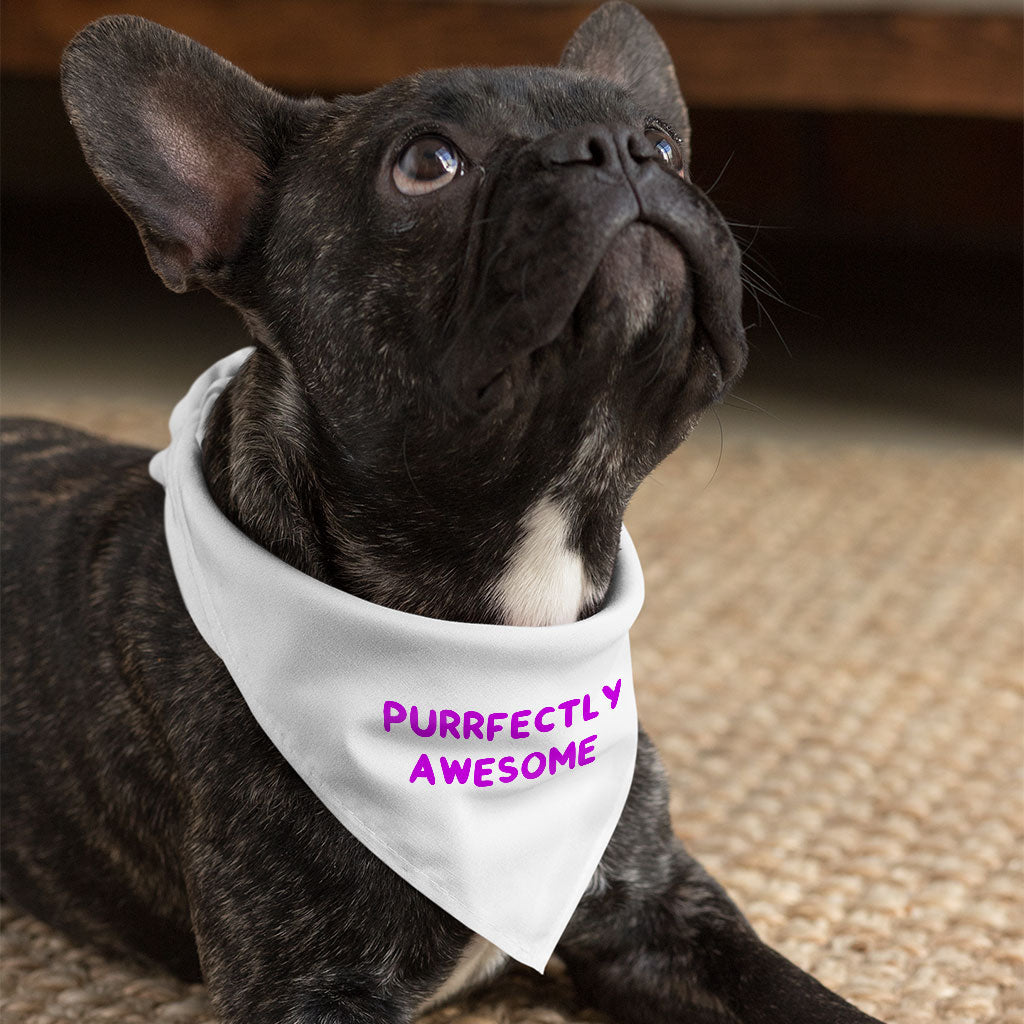 Awesome Pet Bandana - Funny Saying Dog Bandana - Cool Pet Scarf