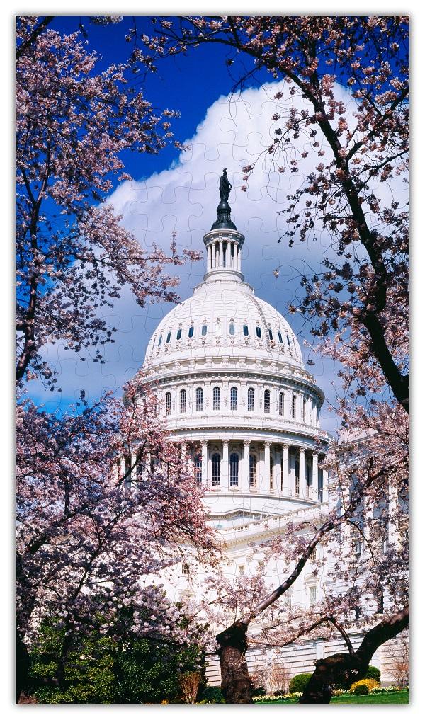 U.S. Capitol in Cherry Blossoms Jigsaw Puzzle #6728 | Red Sunflower