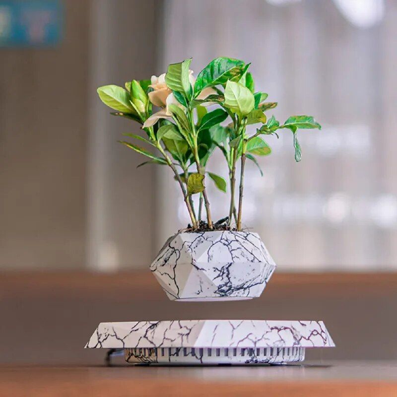 Floating Plant Pot Levitating Plant Pot for Succulents