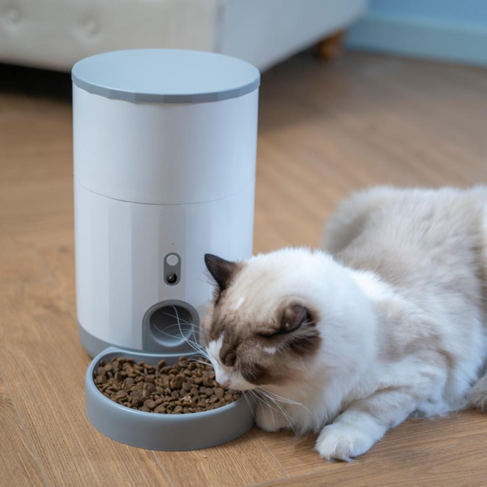 INSTACHEW Purechew Smart Automatic Pet Feeder, HD Camera, App Enabled,