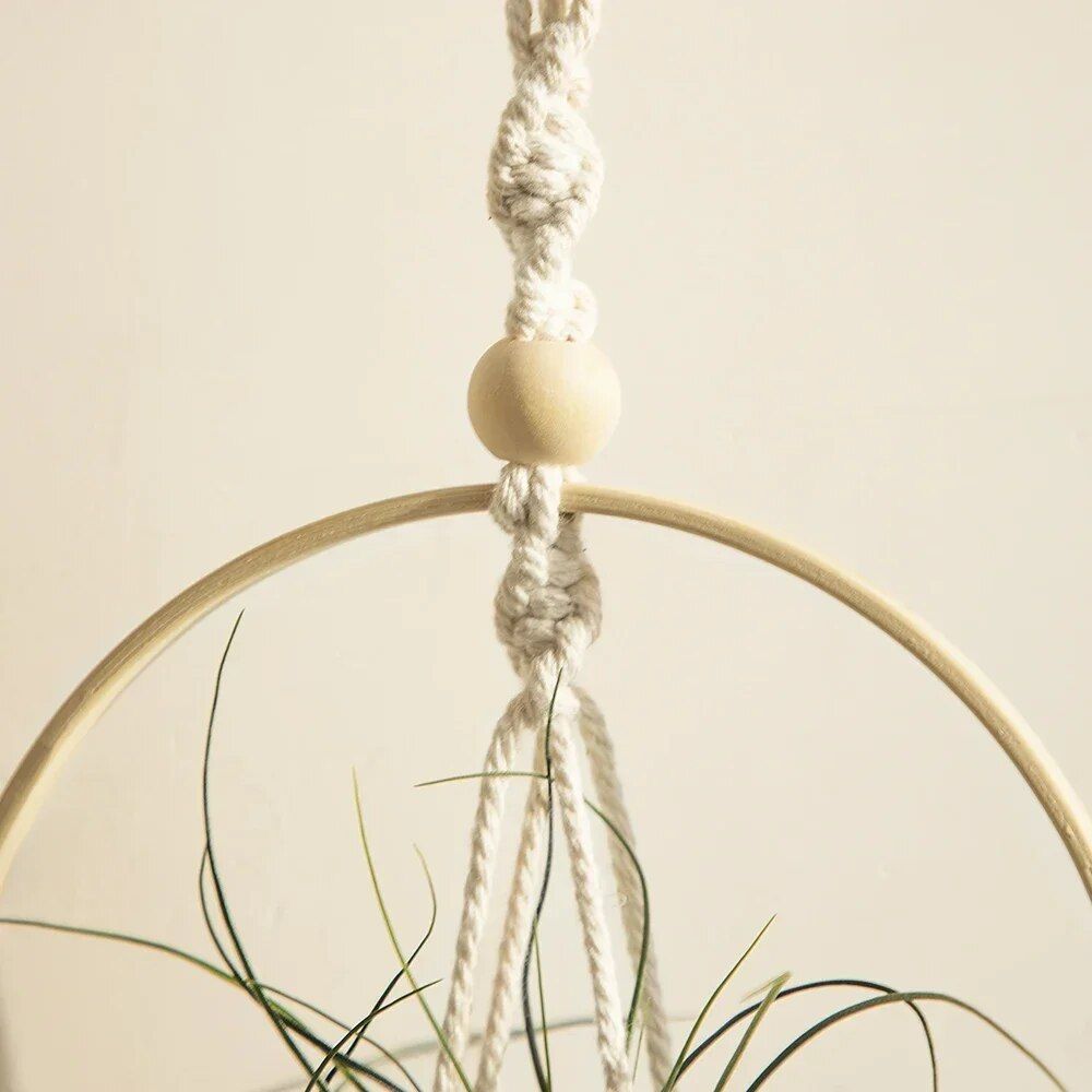 Boho Chic Macrame Air Plant Hanger