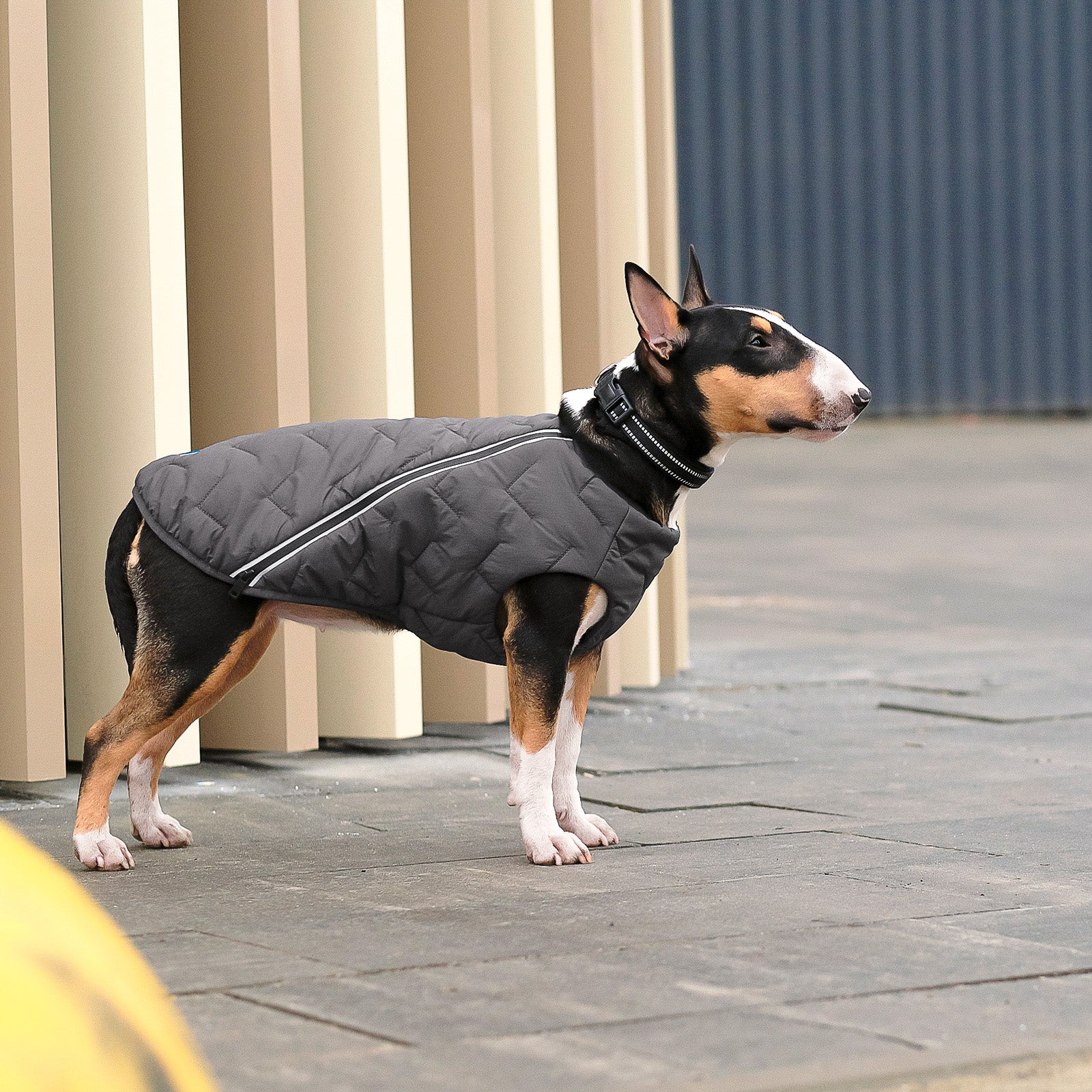 Sustainable Eco-Friendly Dog Jacket / Vest - Made in Ukraine