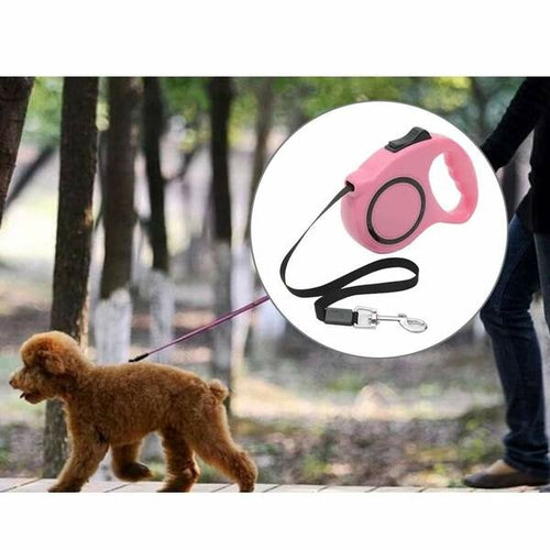 Pet Retractable Leash Automatic Extending Pet Walking Leads