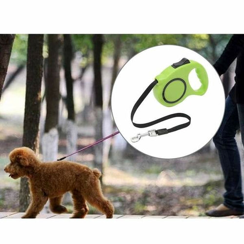 Pet Retractable Leash Automatic Extending Pet Walking Leads