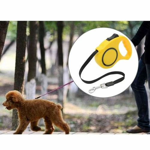 Pet Retractable Leash Automatic Extending Pet Walking Leads