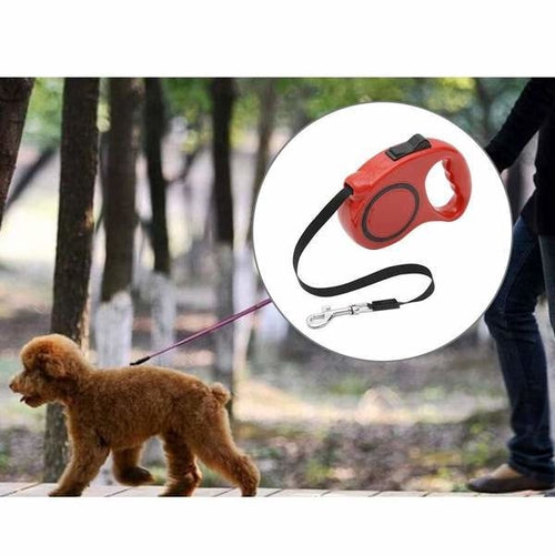 Pet Retractable Leash Automatic Extending Pet Walking Leads