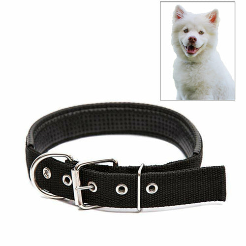 Adjustable Dog Collar with Metal D Ring & Buckle Pet Collars Neck