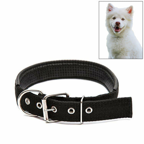 Adjustable Dog Collar with Metal D Ring & Buckle Pet Collars Neck