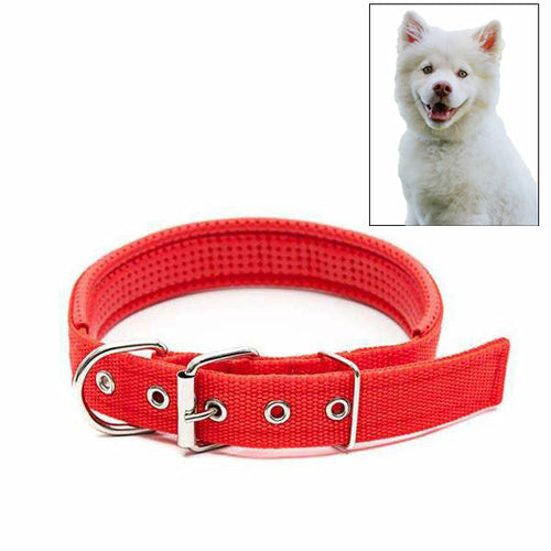 Adjustable Dog Collar with Metal D Ring & Buckle Pet Collars Neck