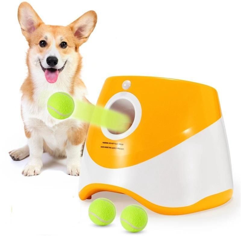 Interactive Dog Ball Launcher