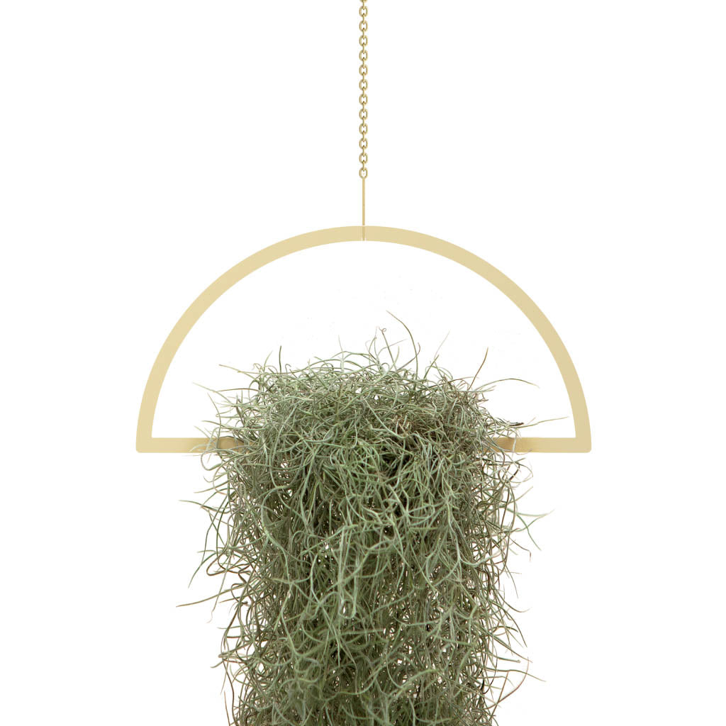 Gold Hanging Semicircle Plant Holder