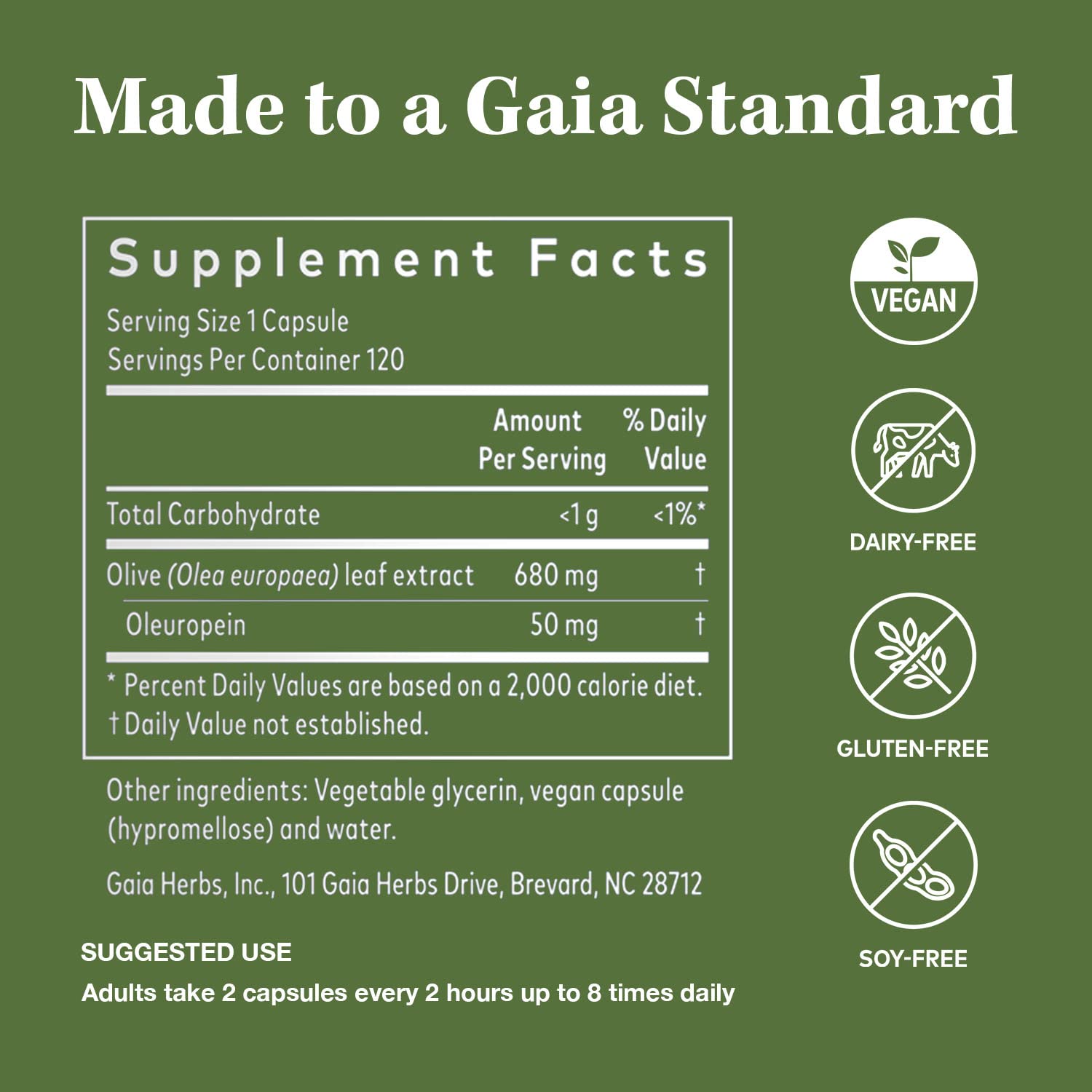 Gaia Herbs Olive Leaf - Traditional Immune Health Support - Immune System Supplement with Olive Leaf Extract and Oleuropein - 120 Vegan Liquid Phyto-Caps