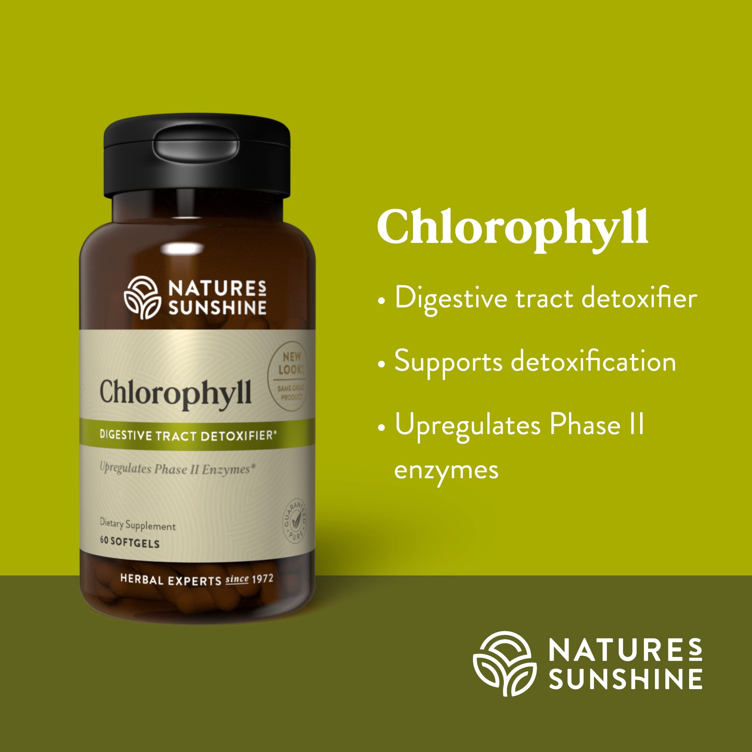 Nature's Sunshine Chlorophyll, 60 Softgel Capsules | Helps Support the Body's Blood-Cleansing Functions and Strengthens the Immune and Intestinal Systems