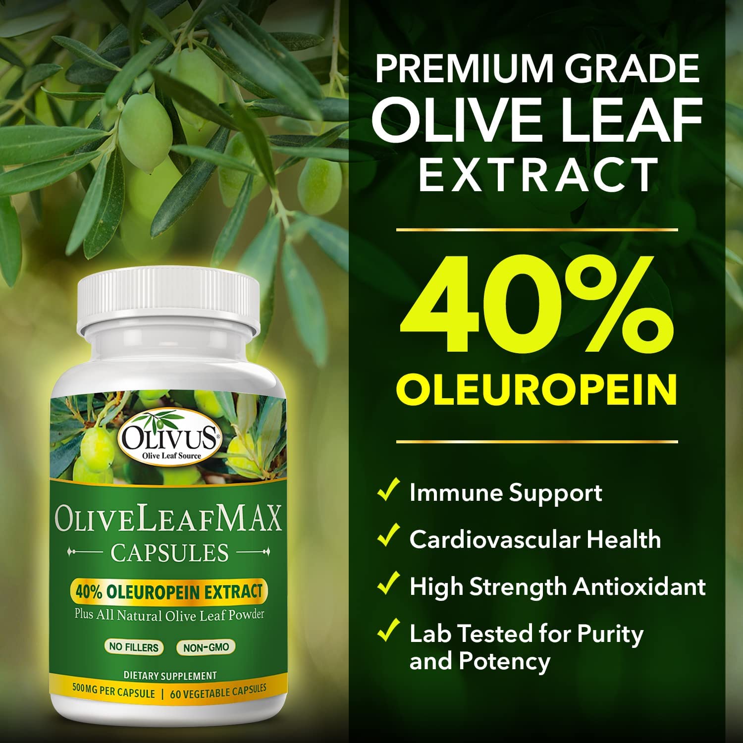 OliveLeafMAX Olive Leaf Extract (40% Oleuroepin) + Organic Olive Leaf Powder + No Fillers + 60 Vegetarian Capsules + Sourced from Spain and Manufactured in USA at GMP Facility