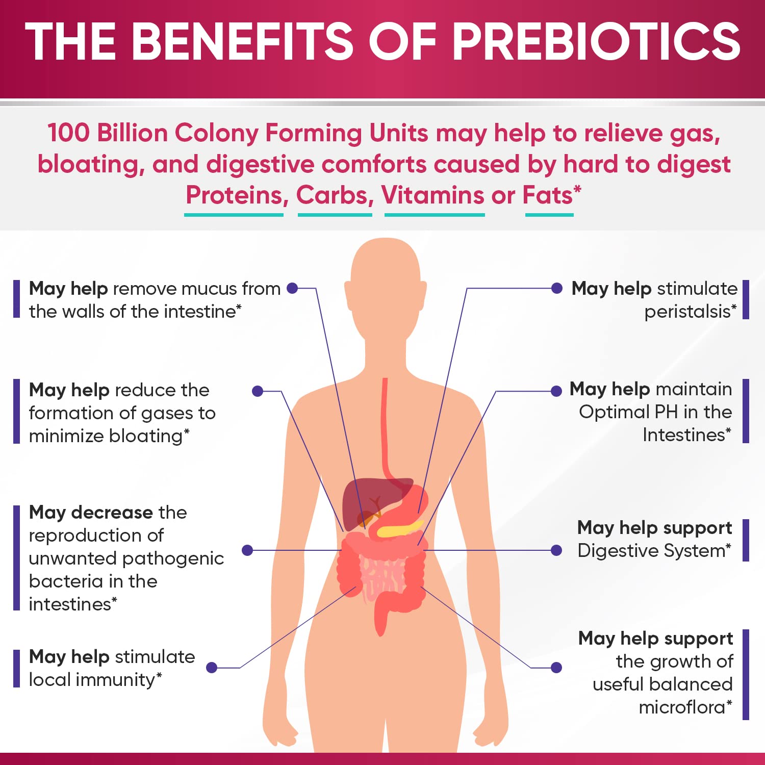 Dr. Formulated Raw Probiotics for Women 100 Billion CFUs with Prebiotics, Digestive Enzymes, Approved Women's Probiotic for Adults, Shelf Stable Probiotic Supplement Capsules