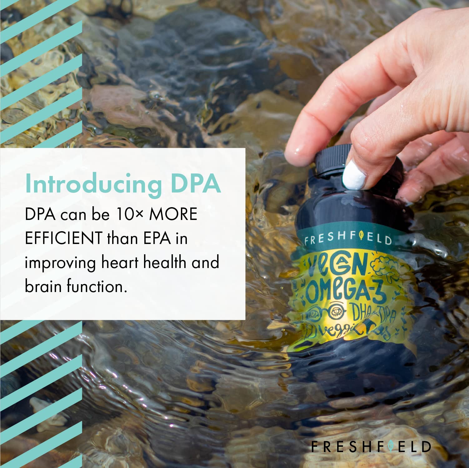 Freshfield Vegan Omega 3 DHA Supplement: Premium Algae Oil, 2 Month Supply, Plant Based, Sustainable, Premium and Mercury Free. Better Than Fish Oil! Supports Heart, Brain, Joint Health - w/DPA