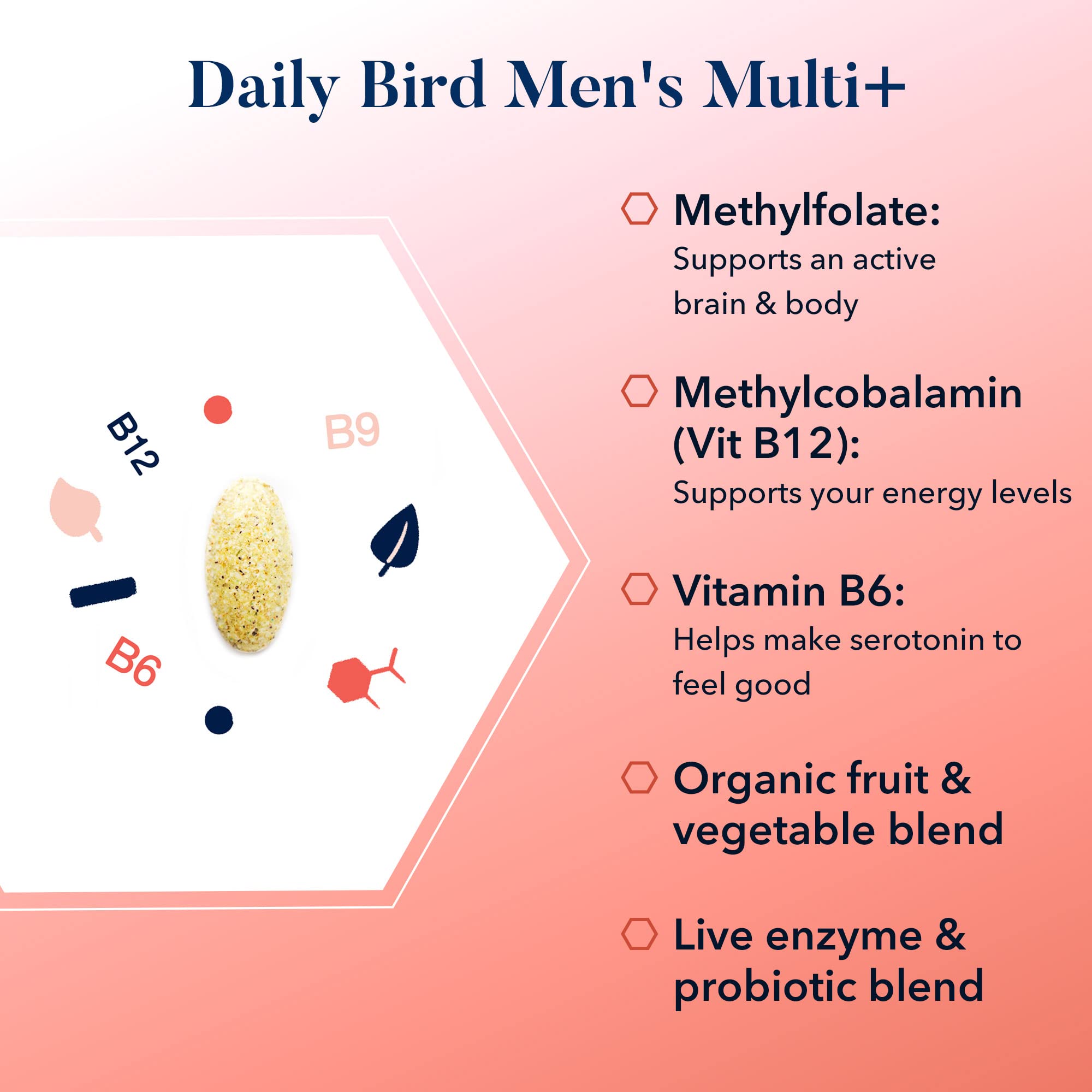 Best Nest Daily Bird Men's Multivitamin with Probiotics, Methylfolate, B12, with Whole Food Organic Blend, Once Daily Multivitamin Supplement, 30 Ct